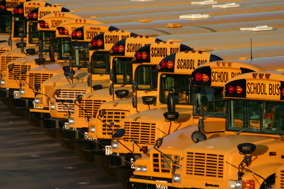 File photo of a series of school buses parked by the side of the road. (Dreamstime/TNS)