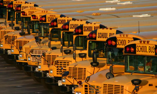 Black Mom Sues LA Unified Over Cotton-Picking Project at Elementary School, Lawsuit Says