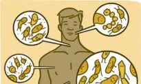 Your Body’s Bugs