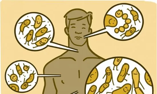 Your Body’s Bugs