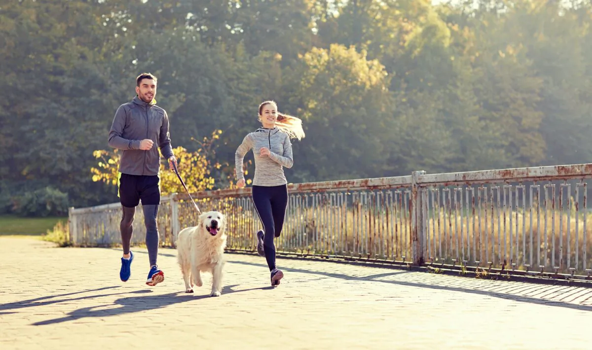 Whether you lead an active or quiet life, it's best to choose a pet that would enjoy the lifestyle it would have with you. (Ground Picture/Shutterstock)