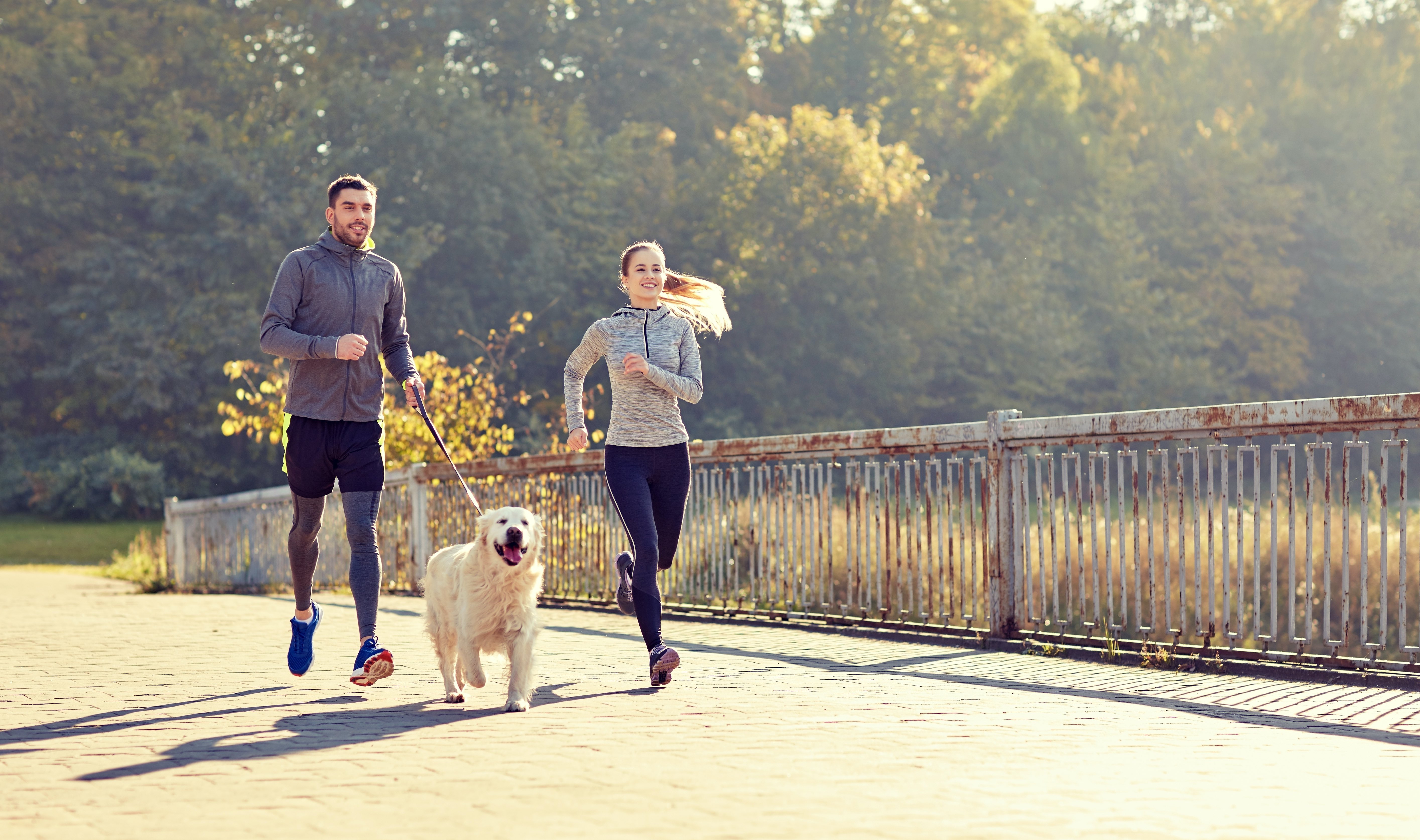 How to Choose the Right Pet - Vimarsana News
