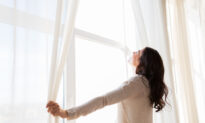 Lifestyle: Impressive Views: Window Cleaning Made Easy