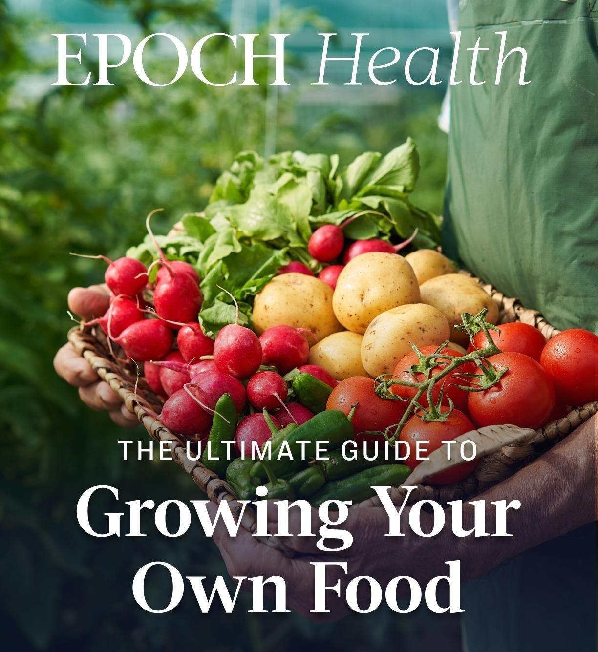 The Ultimate Guide To Growing Your Own Food