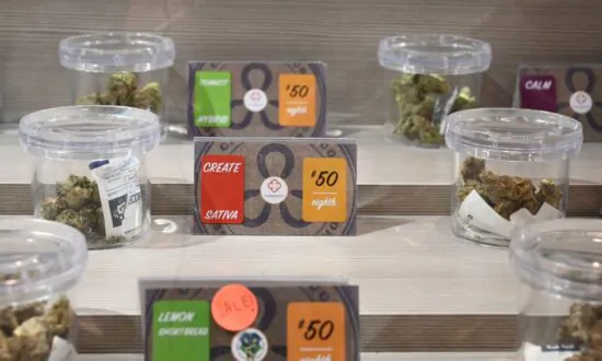 Abortion, Marijuana, Slavery: 11 Themes to 2022 Ballot Measures