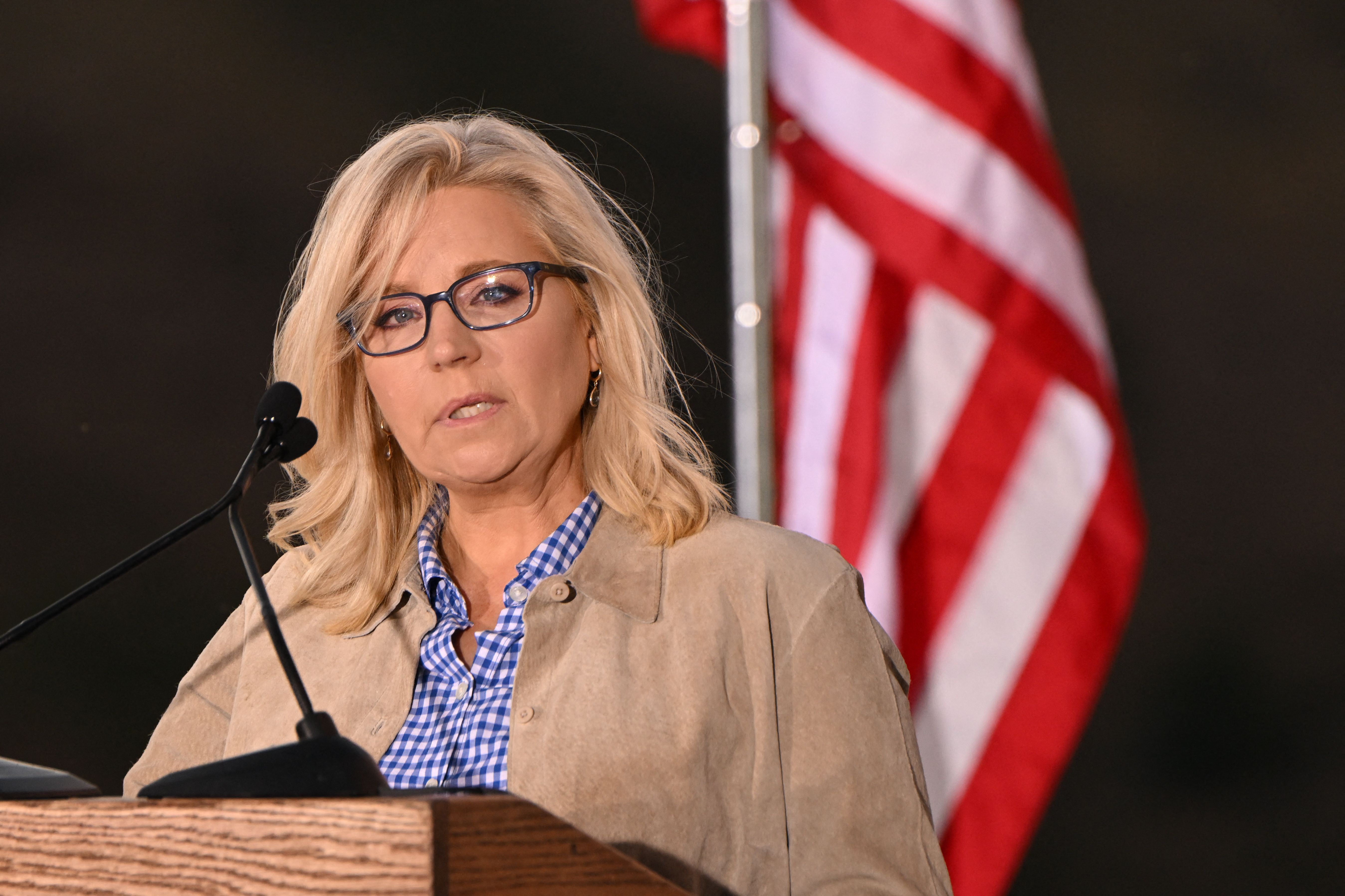 Liz Cheney Endorses Democrat in Contested House Race - Vimarsana News