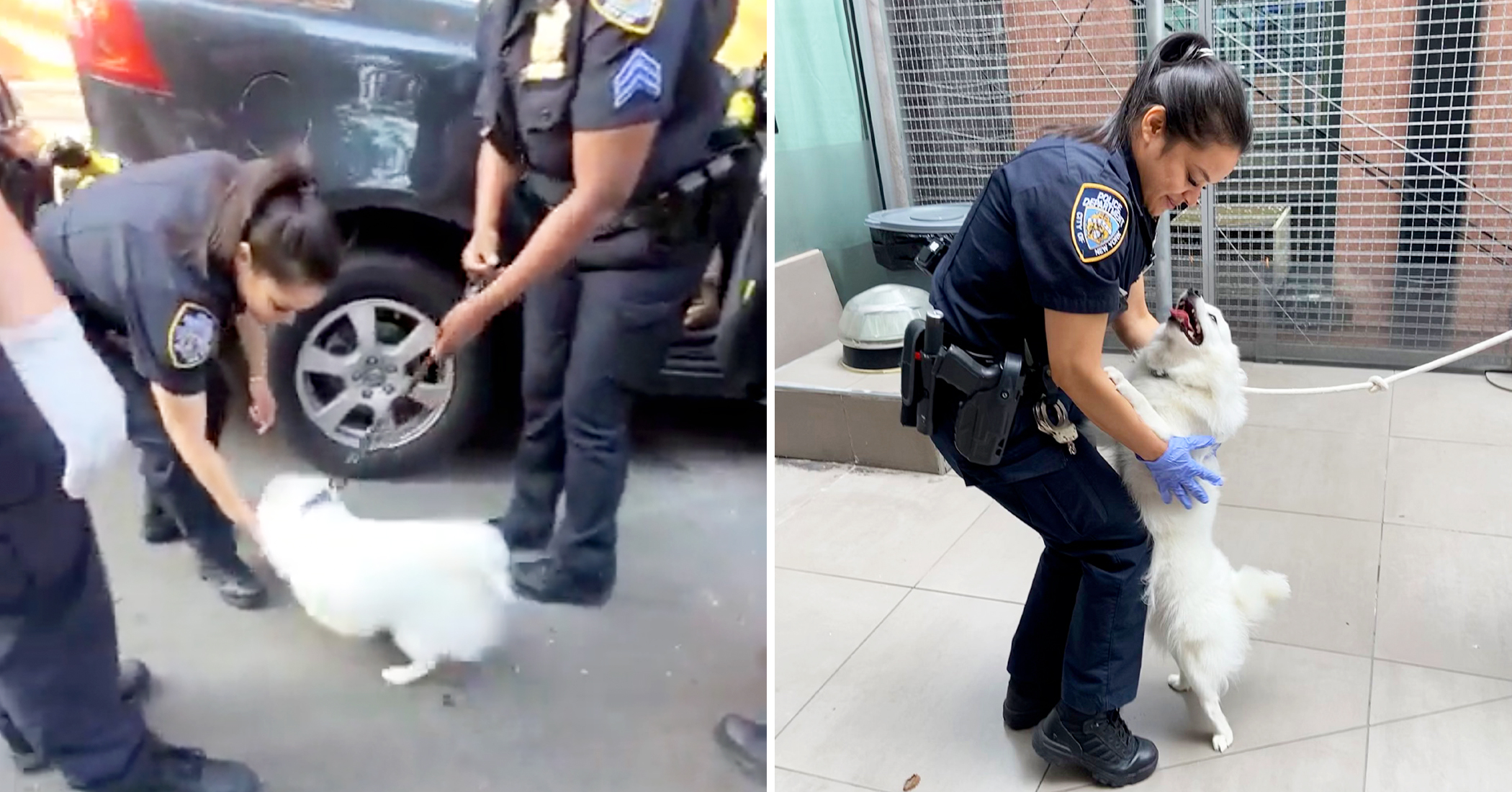 ‘This Pup Will Never Be Neglected Again’: NYPD Officer Adopts Dog She ...