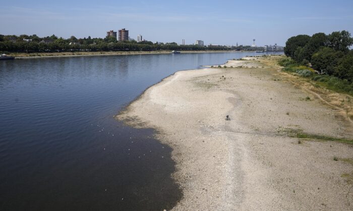 The Rhine river dried up in Cologne, Germany on August 10, 2022.  (Martin Meissner/AP Photo)