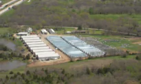 IN-DEPTH: Hundreds of Illegal Chinese-Owned Marijuana Operations Taking Over Maine