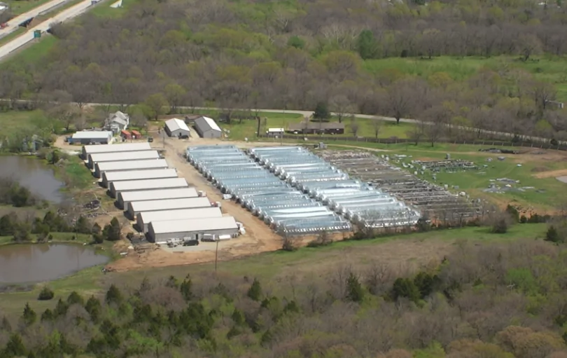 A criminal marijuana growing operation in Henryetta, Okla. Illegal grow operations are a nationwide problem, responsible for billions in illegal revenue. (Picture courtesy Oklahoma Bureau of Narcotics)