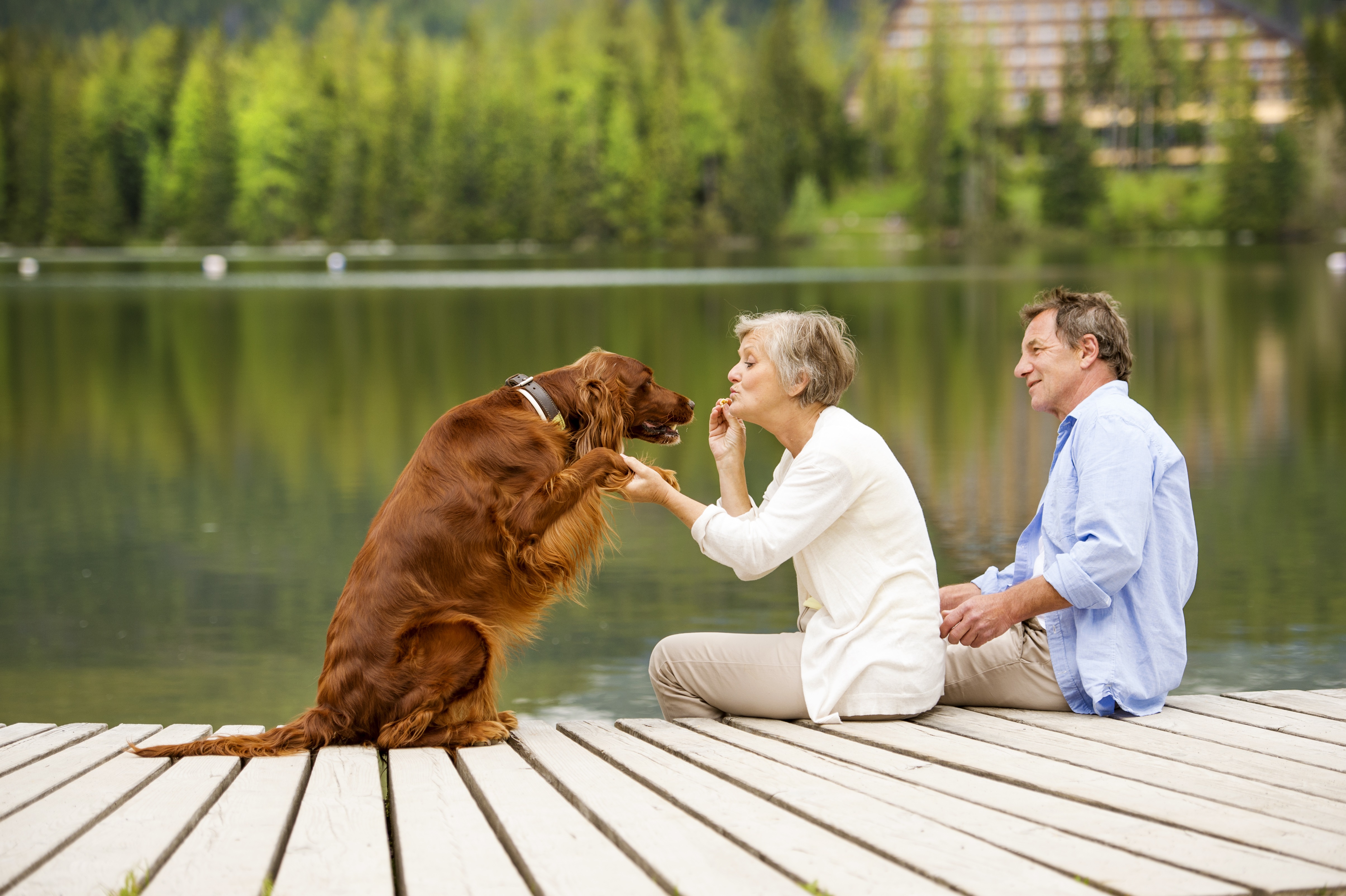 11 Important Things to Do Before You Retire - Vimarsana News