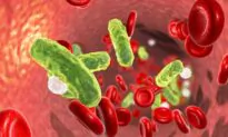 New Testing Option Could Help Treat Sepsis Patients 40 to 60 Hours Faster
