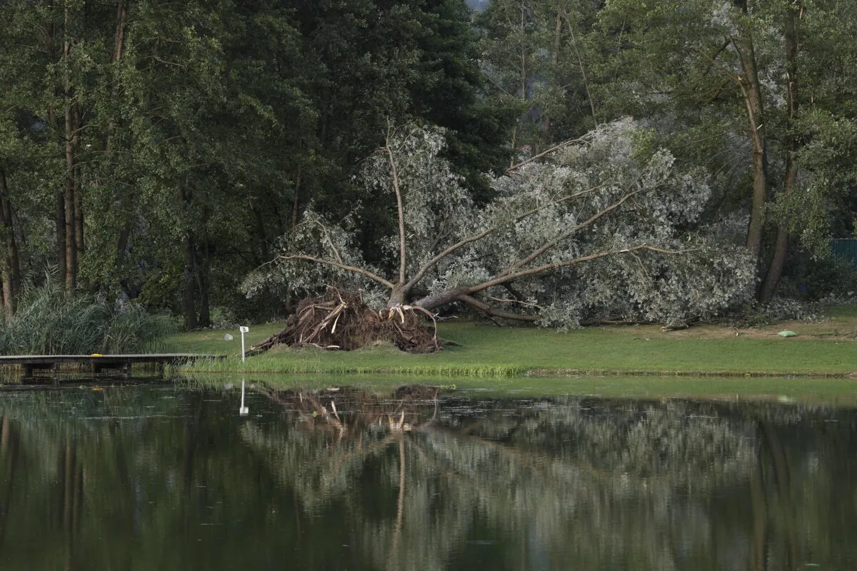 A fallen tree after a severe storm at Saint Andrae lake in the Lavant valley near Klagenfurt, Austria, on Aug. 18, 2022. (Erwin Scheriau/APA/AFP via Getty Images)