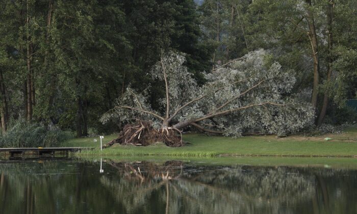 A fallen tree after a severe storm at Saint Andrae lake in the Lavant valley near Klagenfurt, Austria, on Aug. 18, 2022. (Erwin Scheriau/APA/AFP via Getty Images)