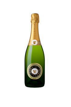 Gloria-Ferrer-Sonoma-Brut-HI-RES 2