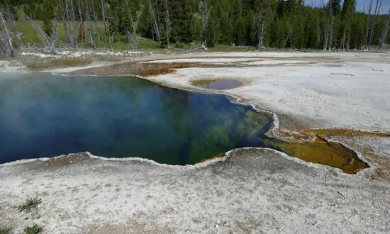 Part of a Foot, in a Shoe, Spotted in Yellowstone Hot Spring