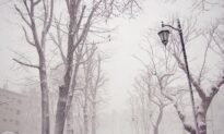 Treating Seasonal Affective Disorder