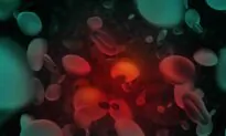 Battling Bent Blood Cells