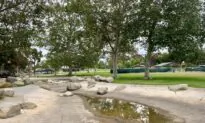 2 Ducks Violently Attacked in Fountain Valley