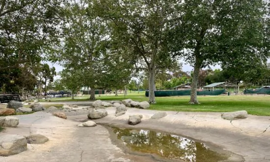 2 Ducks Violently Attacked in Fountain Valley