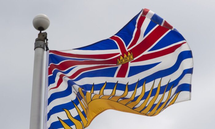 British Columbia's provincial flag flies on a flag pole in Ottawa, July 3, 2020. (The Canadian Press/Adrian Wyld)