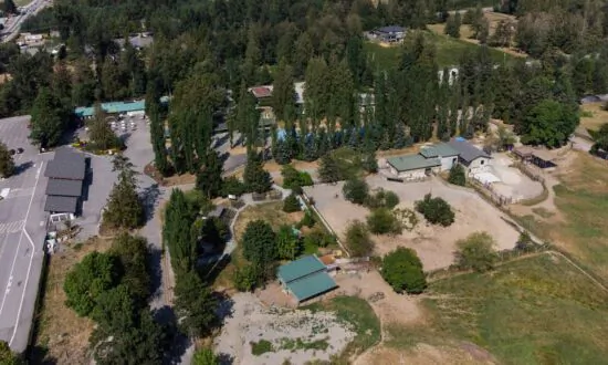 Lawsuit Says British Columbia Zoo Negligent in Black Bear Mauling of Toddler’s Arm