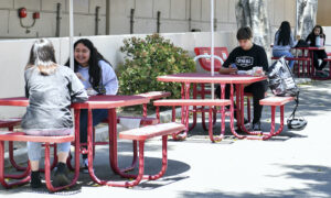 Plentiful Food in an Academic Desert