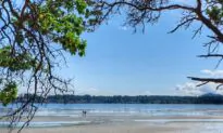 Things To Do On Vancouver Island