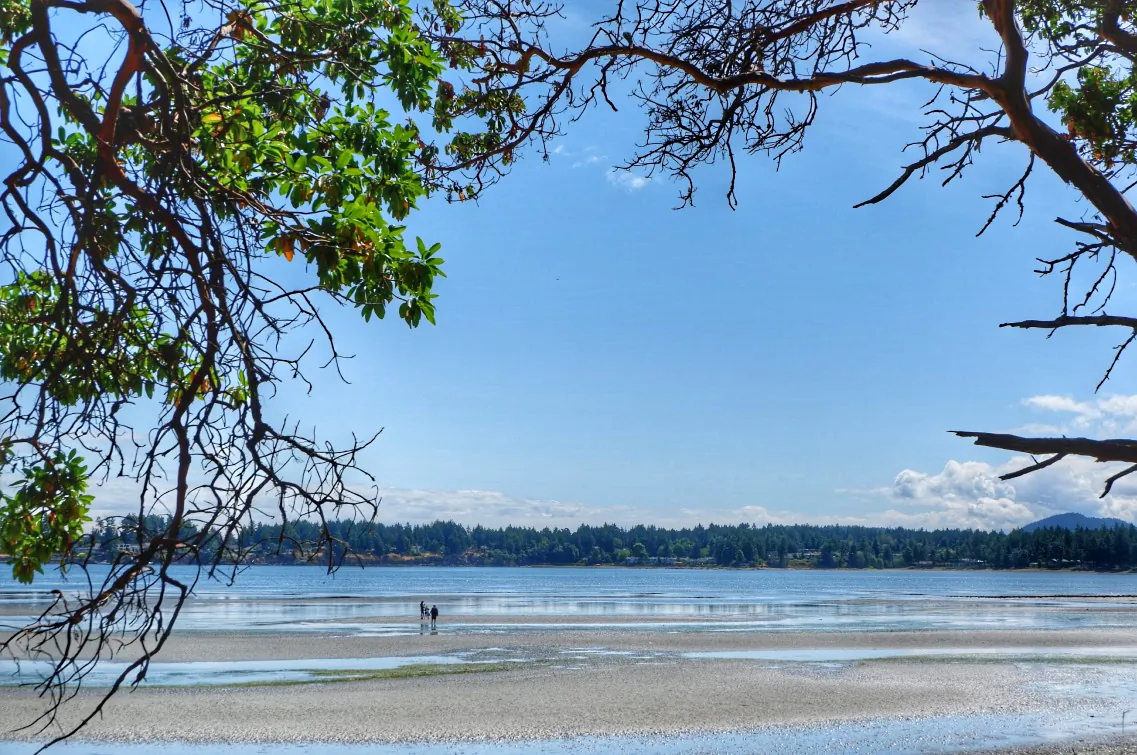 Beach at the Tigh-Na-Mara Resort in Parksville. (Courtesy of Michelle Sutter)