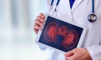 Kidneys’ Resilience May Depend on Your Gender, Study Finds