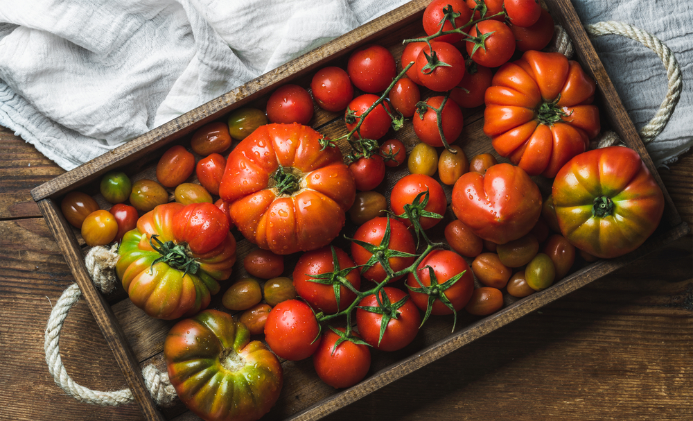 Facing a bumper crop? Save your tomato harvest for the chilly fall and winter days to come. (Foxys Forest Manufacture/Shutterstock)