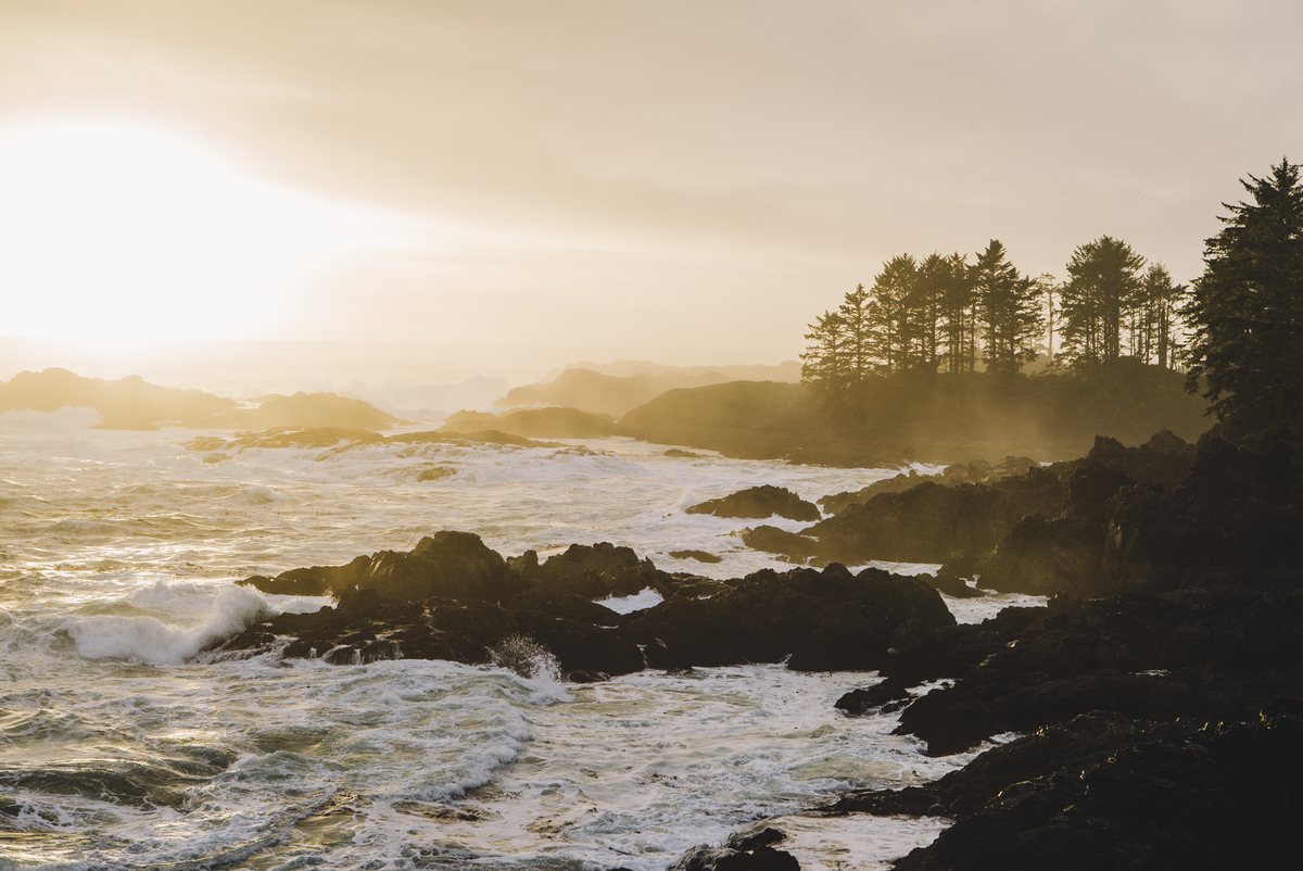 Sunrise at Wild Pacific Trail, the Coast of Vancouver Island in Ucluelet.