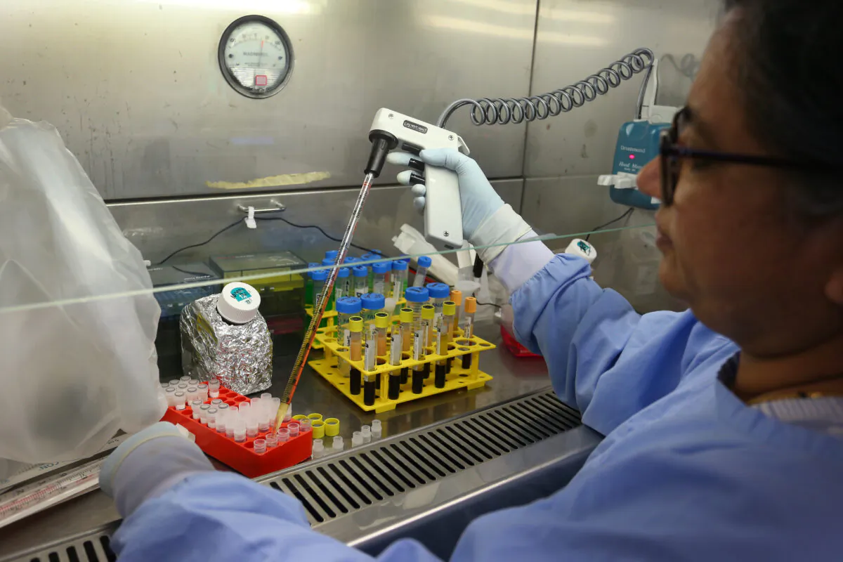 Technical Officer Sri Meka accesses samples at the St Vincent’s Centre for Applied Medical Research in Sydney, Australia, on May 12, 2021. (Lisa Maree Williams/Getty Images)
