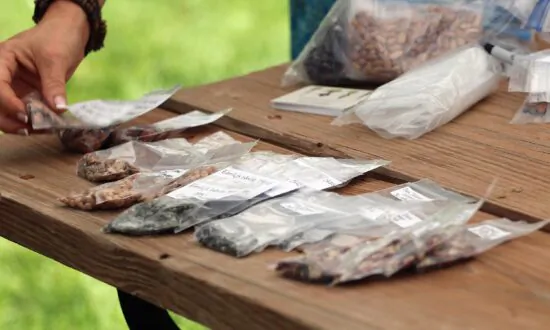 Looking to Grow the Same Tomatoes Your Grandmother Did? Try Seed Savers Exchange