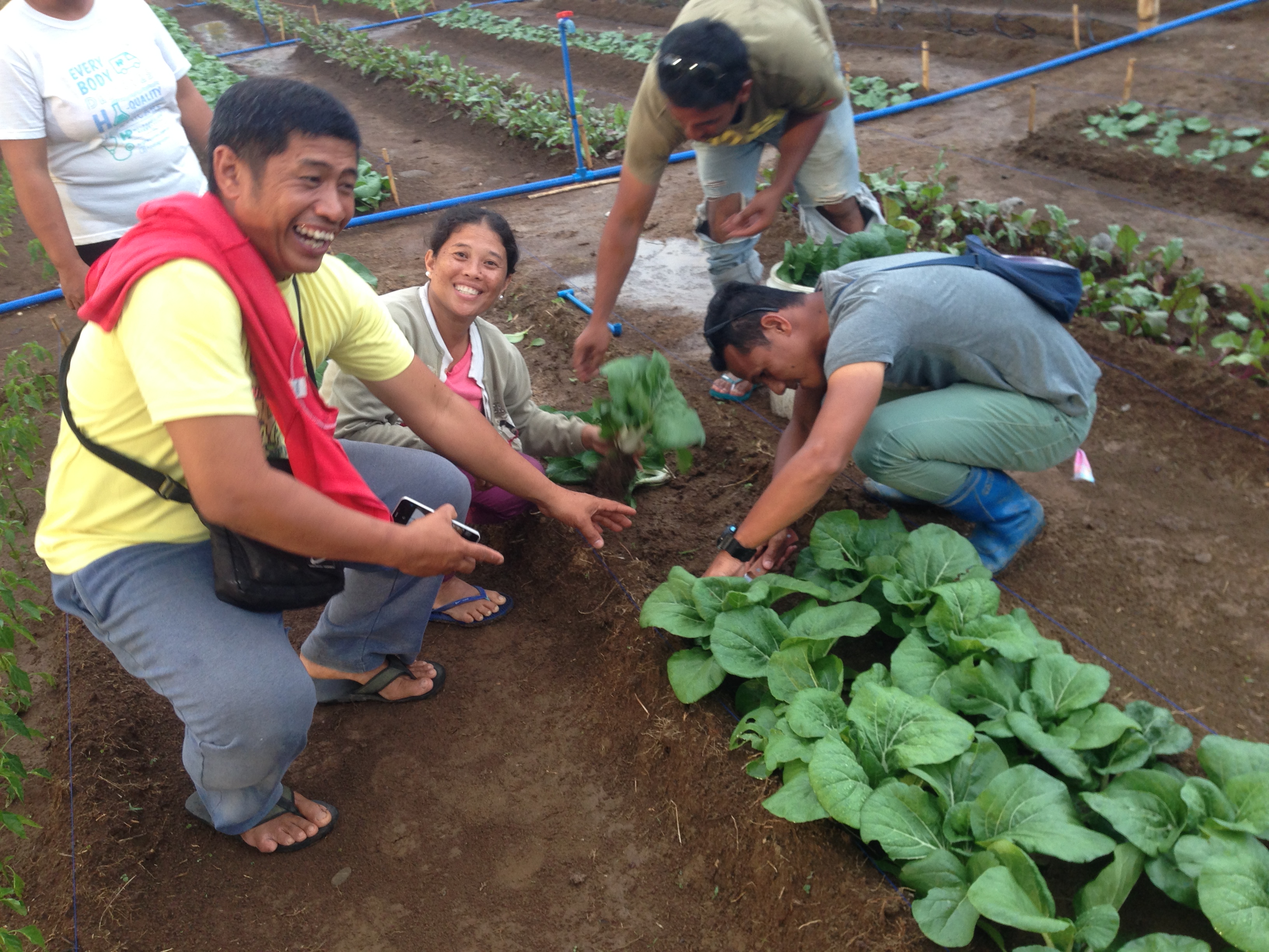 Philippines-mittleider garden people planting0