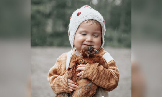 VIDEO: Baby Shares a Special Bond With the Chicks She Raises: 'She Loves Nature'