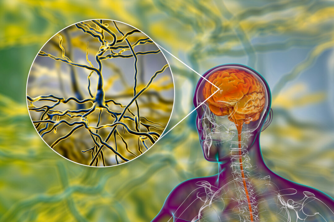 Human brain inside the body with closeup view of neurons, brain cells, 3D illustration