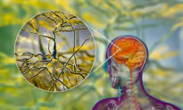 Glutamate: A Neuron Killer in Disguise
