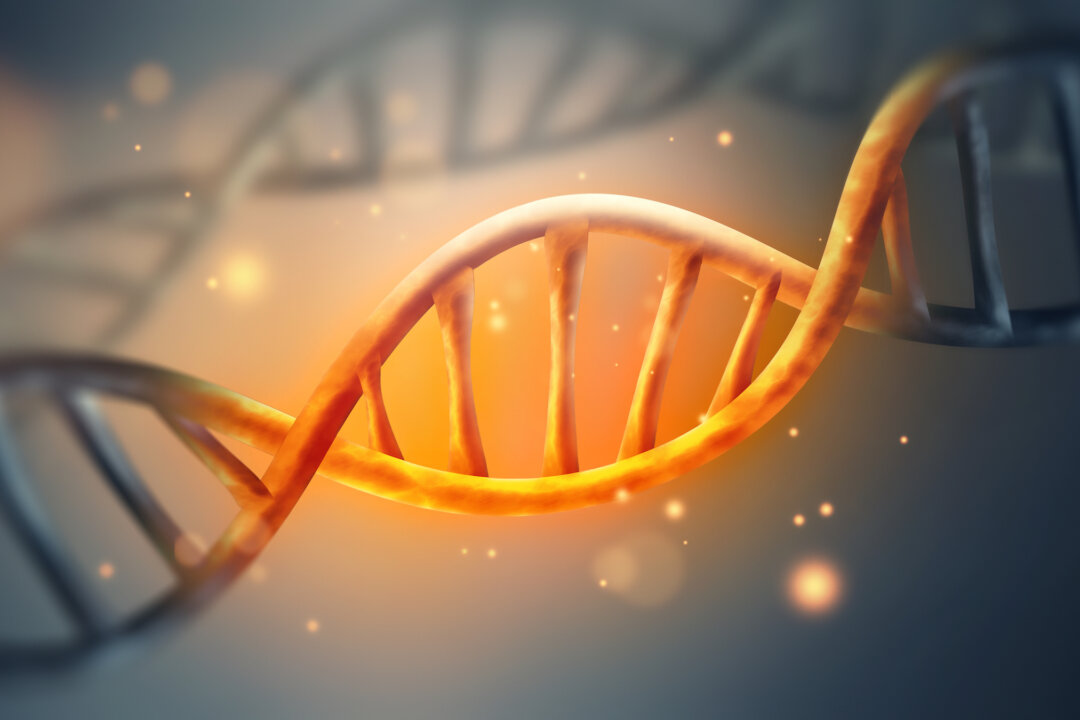 This quintessentially underscores that the air we breathe, the food we eat, the thoughts we allow, the toxins to which we are exposed, and the experiences we undergo may persevere in our descendants and remain in our progeny long after we are gone. (zffoto/shutterstock)