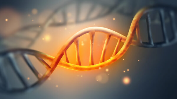 Epigenetic Memories Are Passed Down 14 Successive Generations, Game-Changing Research Reveals