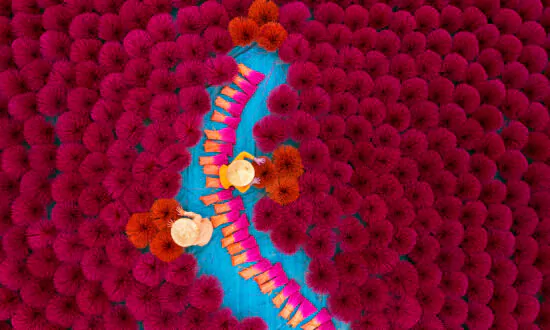 Vietnam’s Incense Village: Beautiful Photos of Thousands of Colorful Incense Sticks
