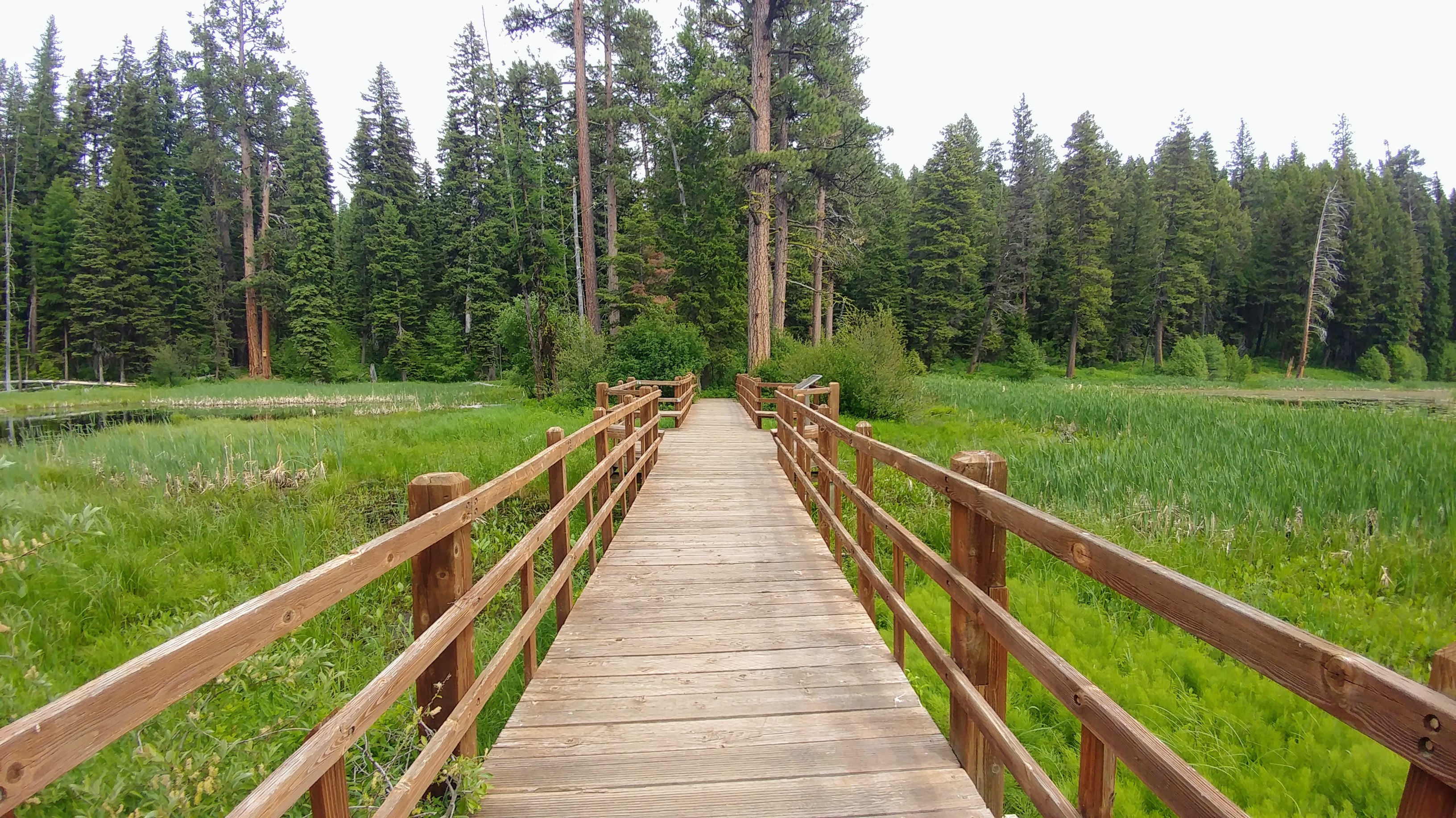 Scenic view of Lily Marsh and walking bridge in Ponderosa State Park in McCall Idaho, camping and hiking or walking trail.