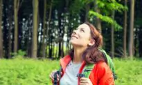 Mindfulness in Nature: How to Really Soak It In