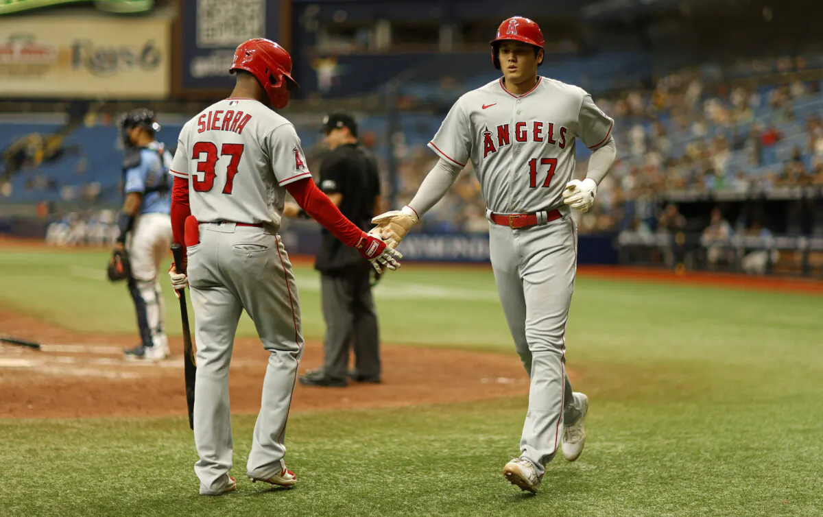 Shohei Ohtani #17 of the Los Angeles Angels is congratulated after scoring a run in the eighth inning during a game against the Tampa Bay Rays at Tropicana Field in St Petersburg, Flor., August 25, 2022. (Mike Ehrmann/Getty Images)

