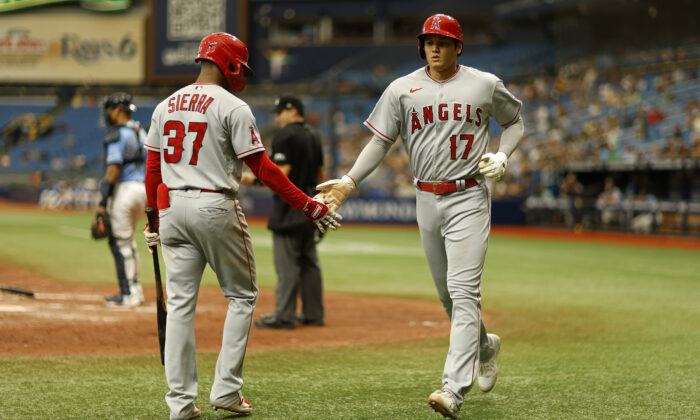 Shohei Ohtani #17 of the Los Angeles Angels is congratulated after scoring a run in the eighth inning during a game against the Tampa Bay Rays at Tropicana Field in St Petersburg, Flor., August 25, 2022. (Mike Ehrmann/Getty Images)

