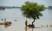 Deaths From Flooding in Monsoon Drenched Pakistan Near 1,000