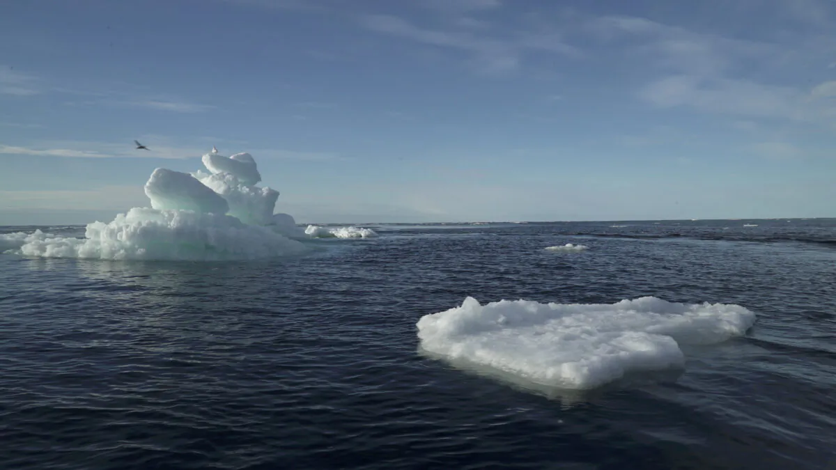 Floating ice during the expedition of the Greenpeace's Arctic Sunrise ship at the Arctic Ocean on Sept. 14, 2020. (Natalie Thomas/Reuters)
