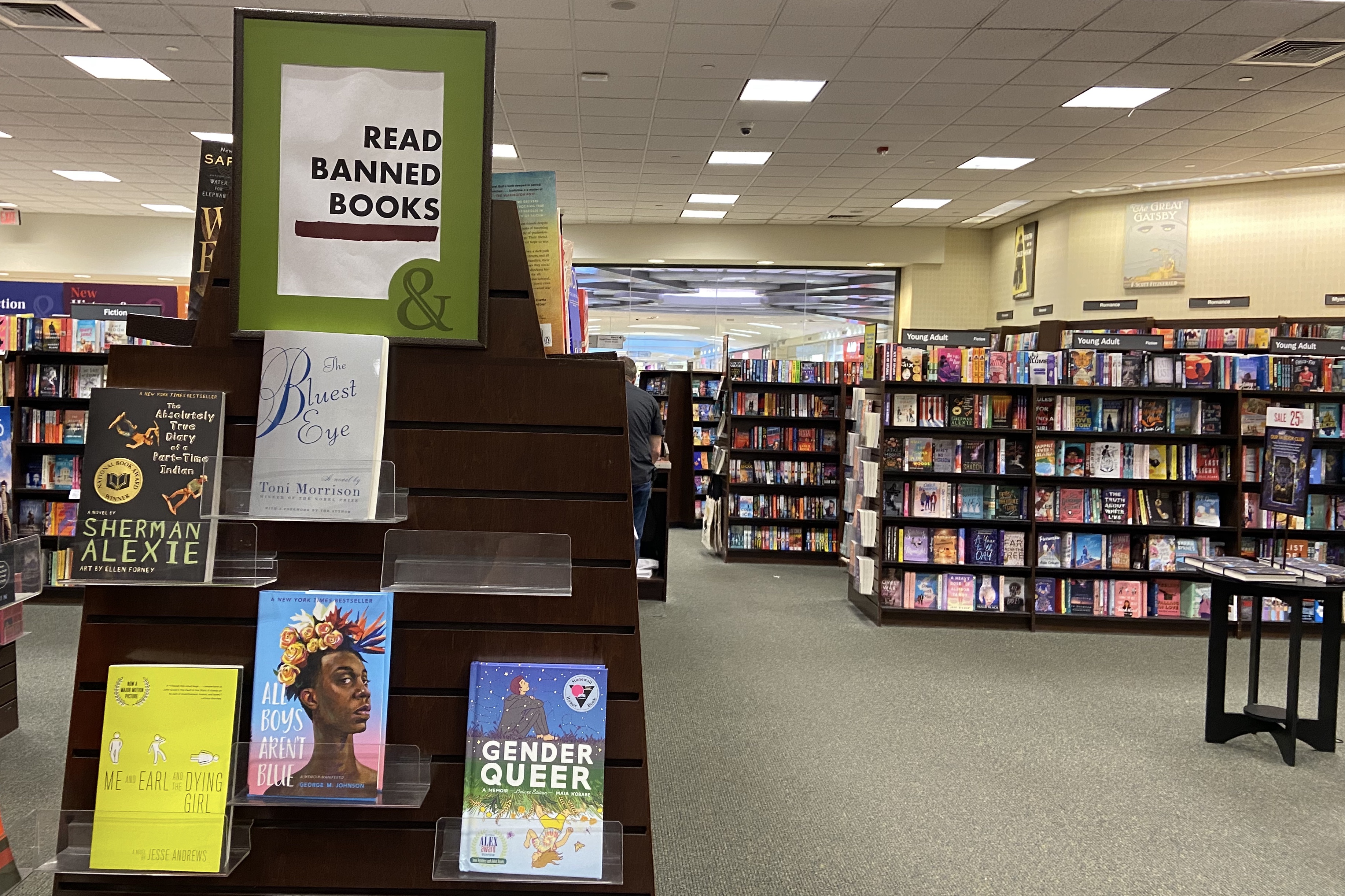 How 'Gender Queer,' America's Most 'Banned' Book, Took Center Stage in the Battle Over Public Education - Vimarsana News