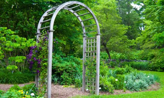 Build a Garden Arbor