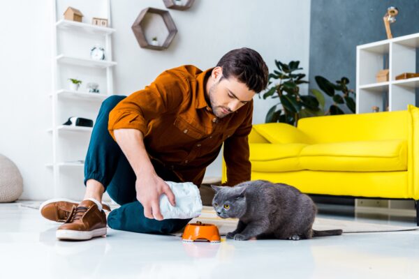 A man feeding a cat